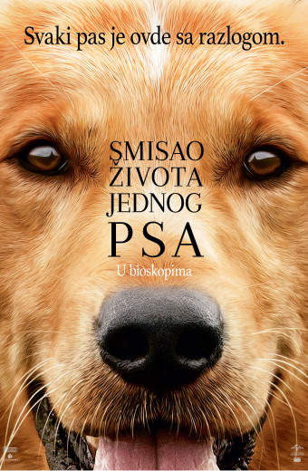 SMISAO ŽIVOTA JEDNOG PSA