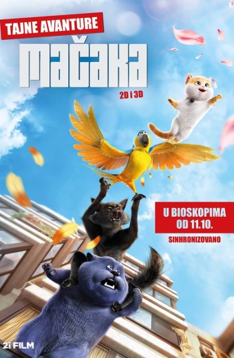 TAJNE AVANTURE MAČAKA