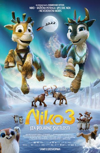 NIKO 3- IZA POLARNE SVETLOSTI